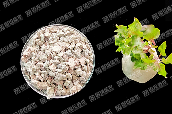 沸石：草魚養(yǎng)殖的隱形助手